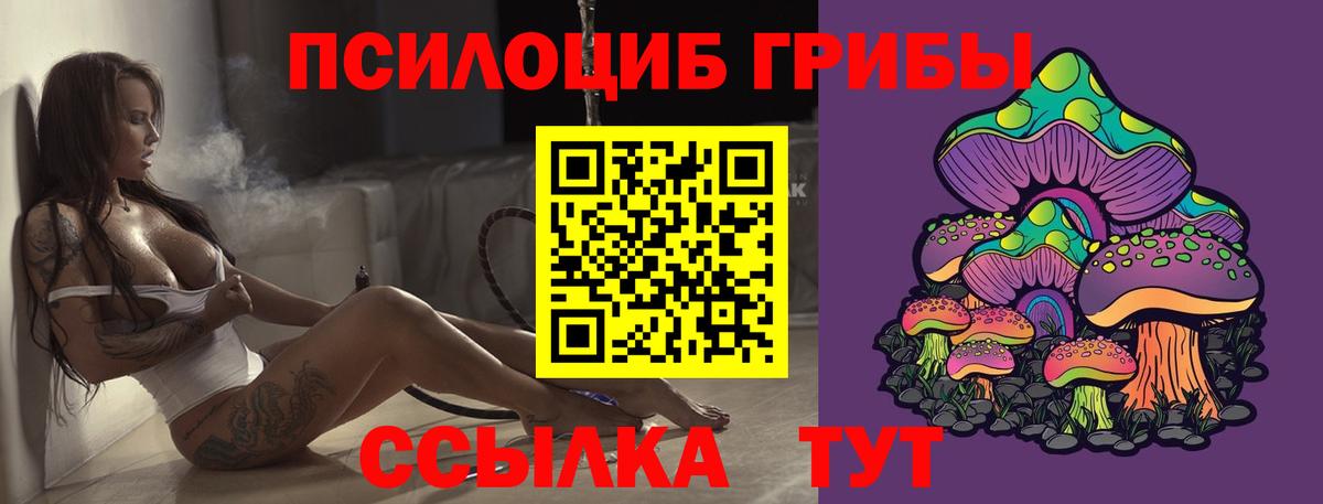 Псилоцибиновые грибы MAGIC MUSHROOMS Славгород
