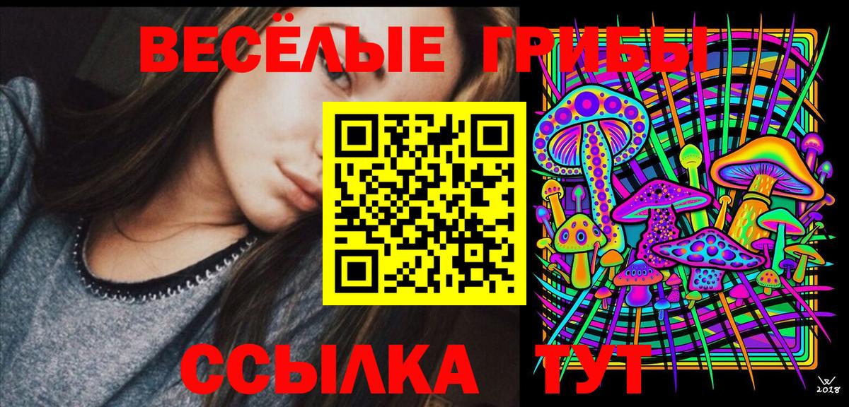 Псилоцибиновые грибы Psilocybine cubensis  Вход с VPN  Славгород 